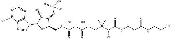 CAS 85-61-0 Coenzyme A de qualité 85% en culture cellulaire