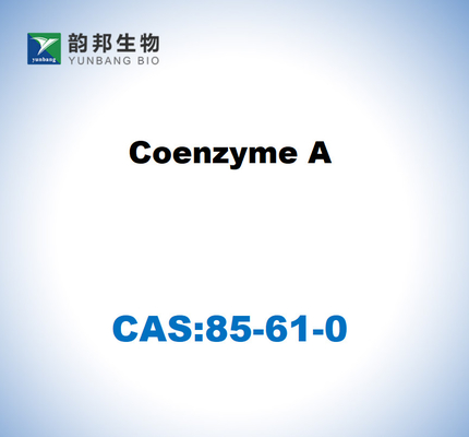 CAS 85-61-0 Coenzyme A de qualité 85% en culture cellulaire