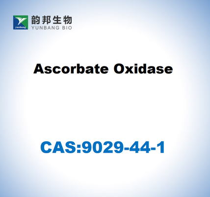CAS 9029-44-1 Ascorbate oxydase