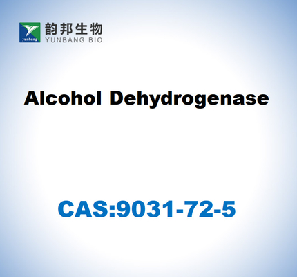 CAS 9031-72-5 Déshydrogénase alcoolique