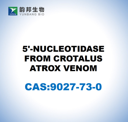 CAS 9027-73-0 5'-nucléotidase issue du venin de crotalis