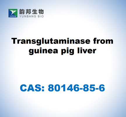 CAS 80146-85-6 Transglutaminase provenant du foie du cochon d'Inde