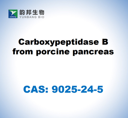 CAS 9025-24-5 Carboxypeptidase B du pancréas porcin
