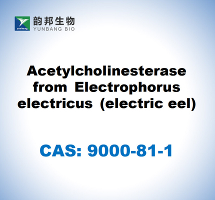 CAS 9000-81-1 Butyrylcholinesterase du sérum équin
