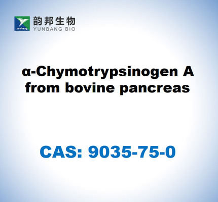 CAS 9035-75-0 α-chymotrypsinogène A provenant du pancréas bovin