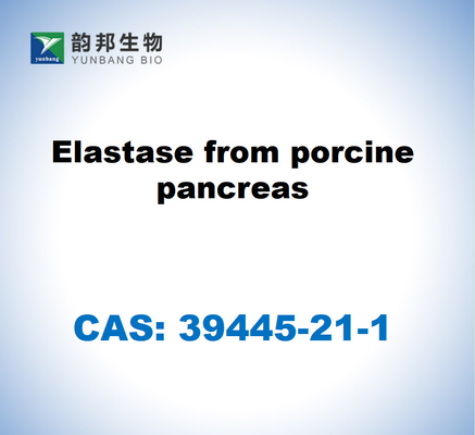 CAS 39445-21-1 Élastase du pancréas porcin