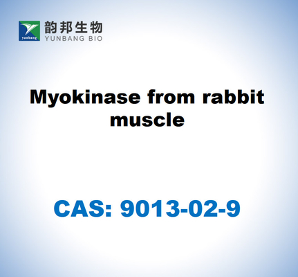 CAS 9013-02-9 Myokinase du muscle du lapin