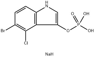 CAS 102185-33-1 sel disodique de 4-brome-chloro-3-indolylphosphate, sel disodique de X-phosphate