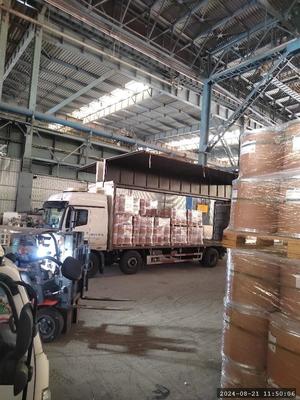 CAS 57-83-0 Offres de réactif biochimique de la progestérone