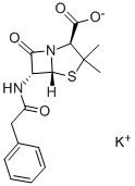 CAS 113-98-4 Penicillin G potassium salt quality biological reagents