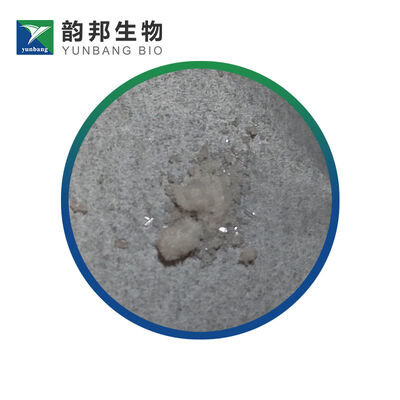 CAS 93-99-2 Phenyl benzoate réactif biochimique pour laboratoire