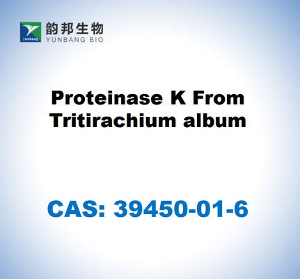 CAS 39450-01-6 Protéinase K à partir de l'album de Tritirachium