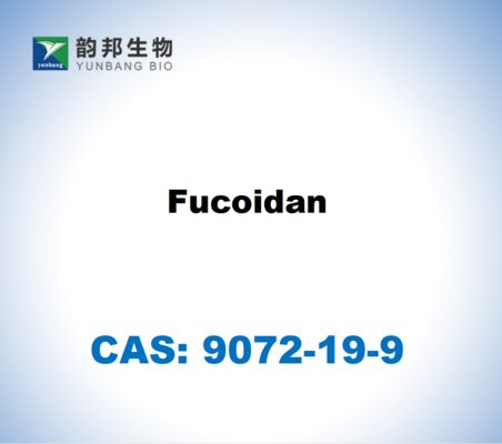 CAS 9072-19-9 Fucoïdan