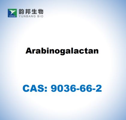 CAS 9036-66-2 Arabinogalactane